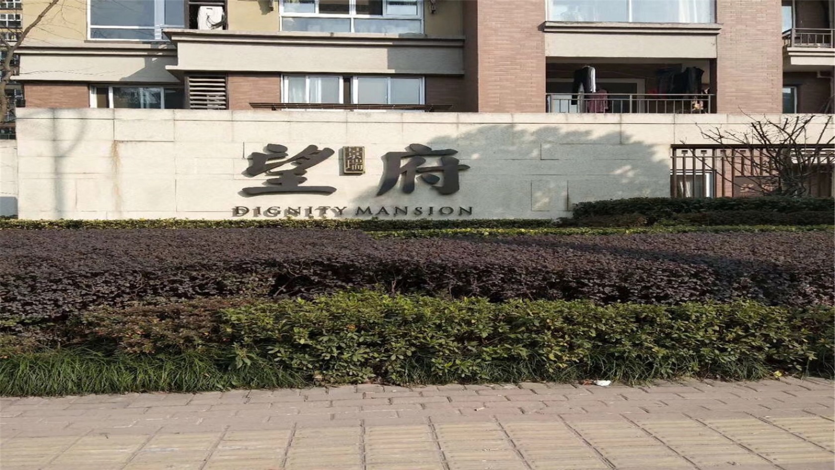 望府